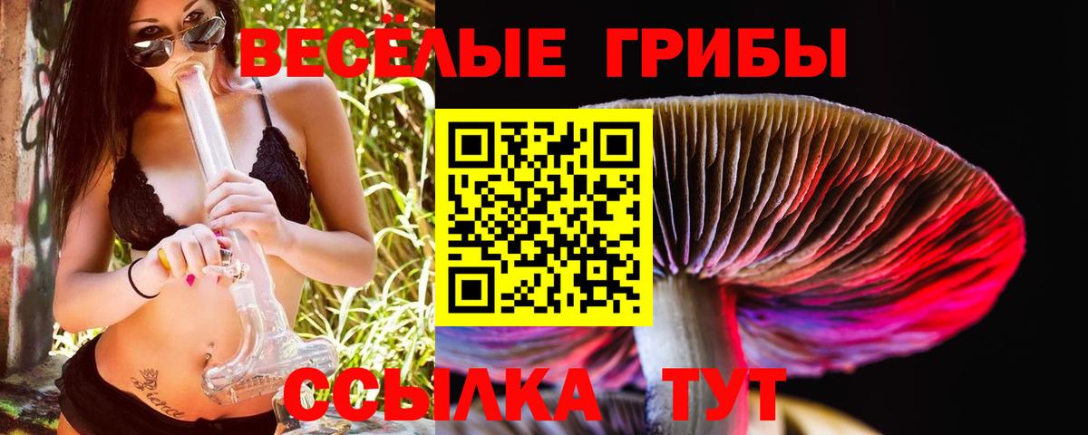 Галлюциногенные грибы мицелий Спасск-Дальний